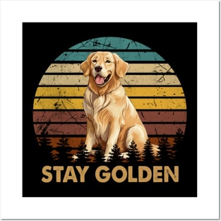 Radiant Retrievers Stay Golden, Tee Triumph for Canine Lovers Posters and Art